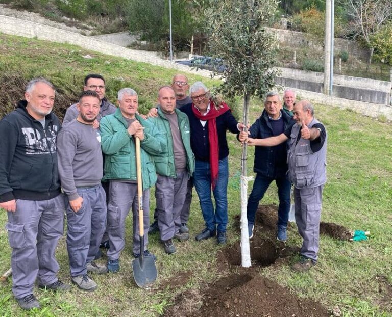 ATS - Monte Maggiore - Società Cooperativa Agricola
Verde pubblico e privato
Forestazione
Energie Rinnovabili
Membro fondatore aderente al consorzio ENERLAND