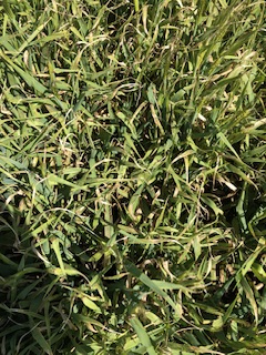 IMG_3497